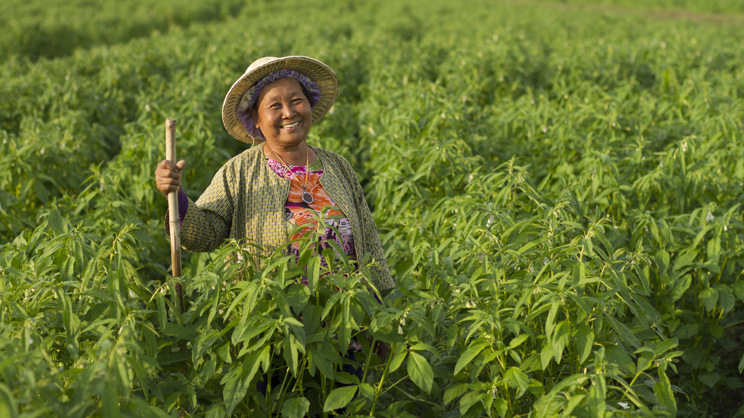 Exploitante agricole.