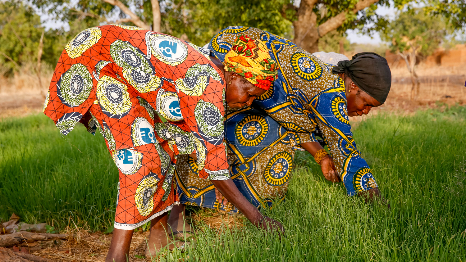 L'impact de la crise sur les institutions de microfinance