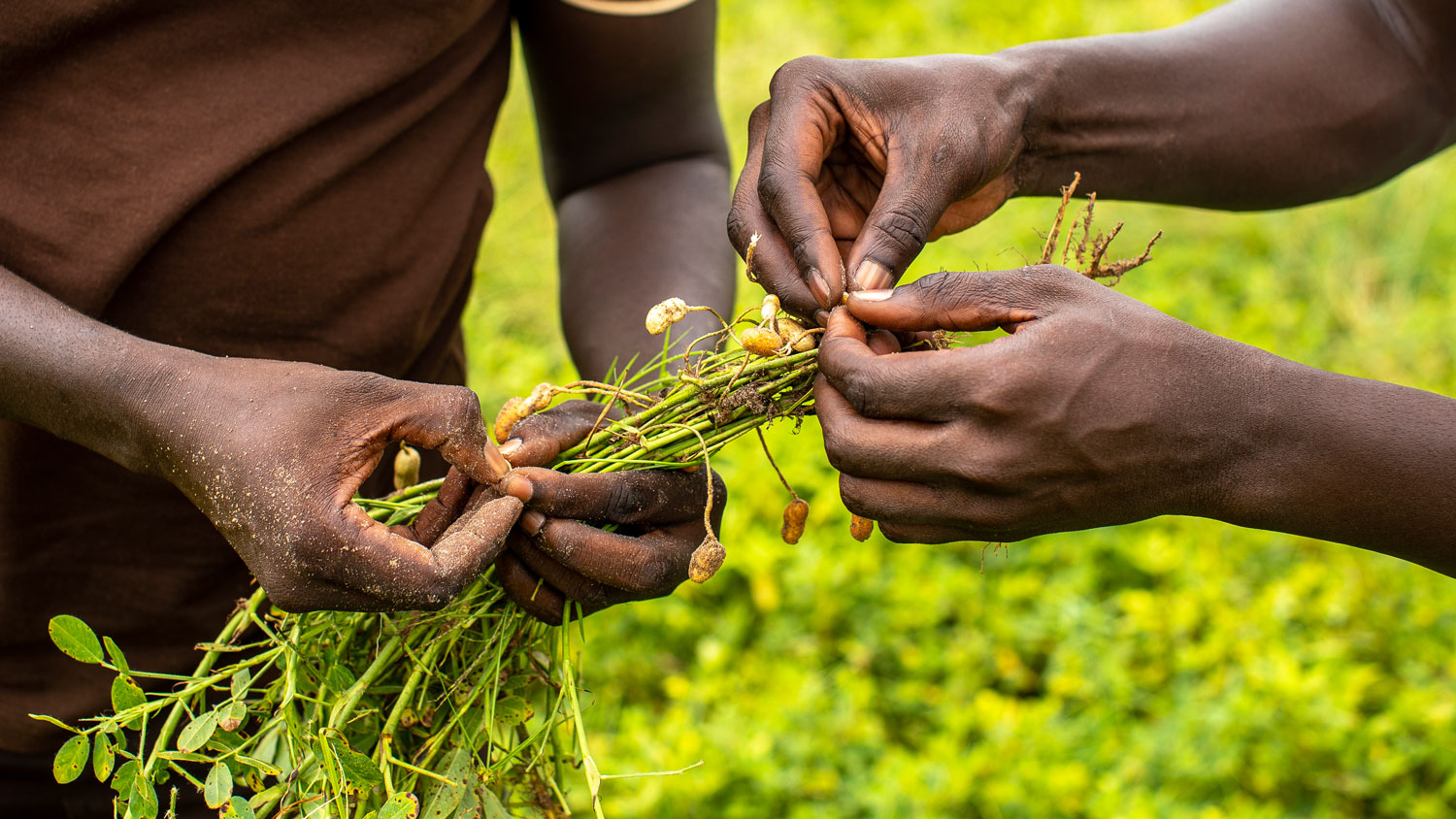 Entrepreneuriat des jeunes au Sénégal