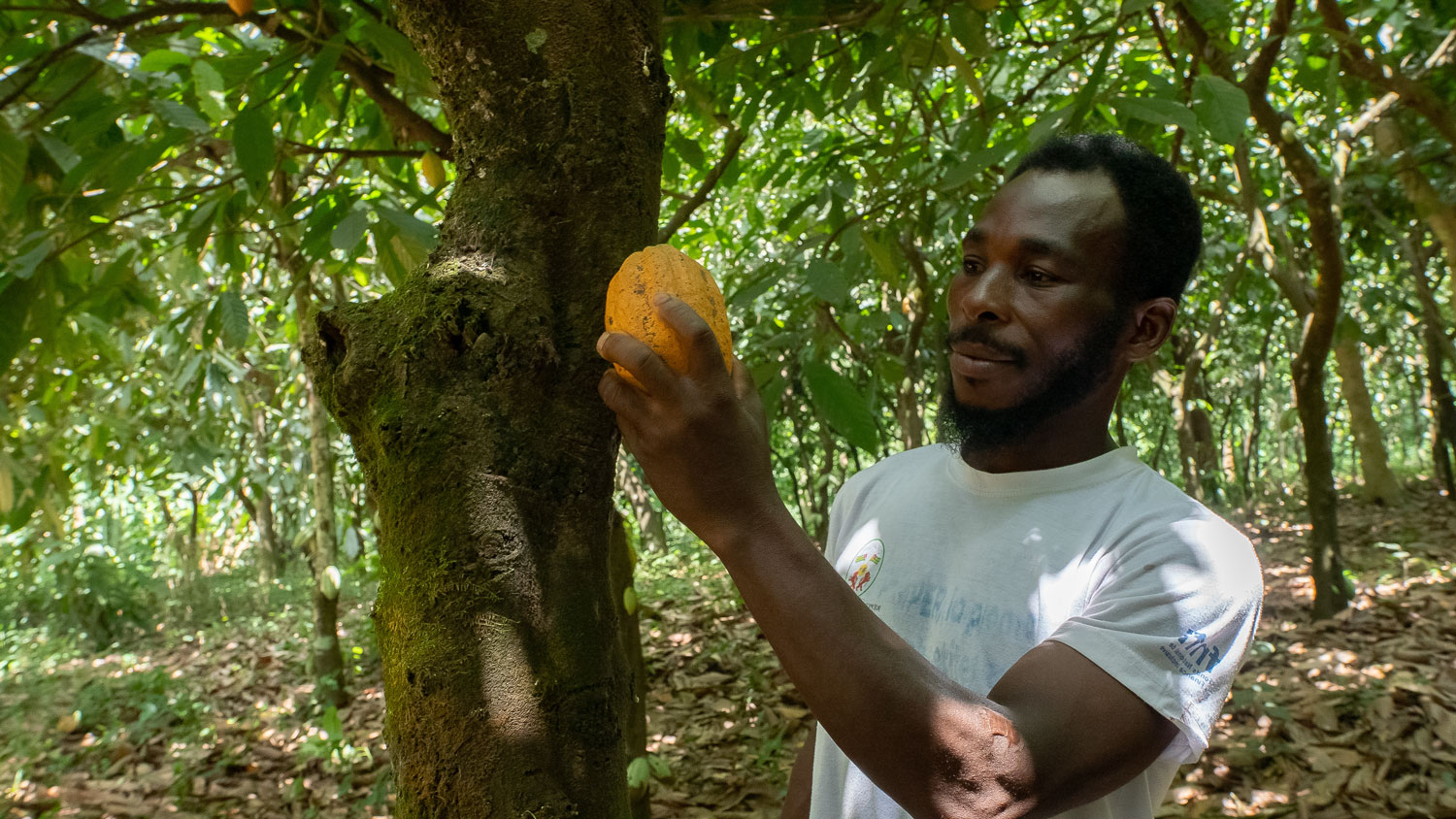 Exploitants agricoles au Togo