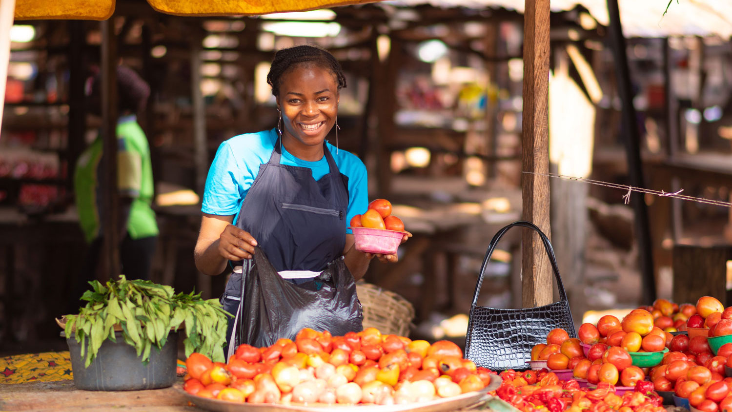 Financing Innovation Tool (FIT)