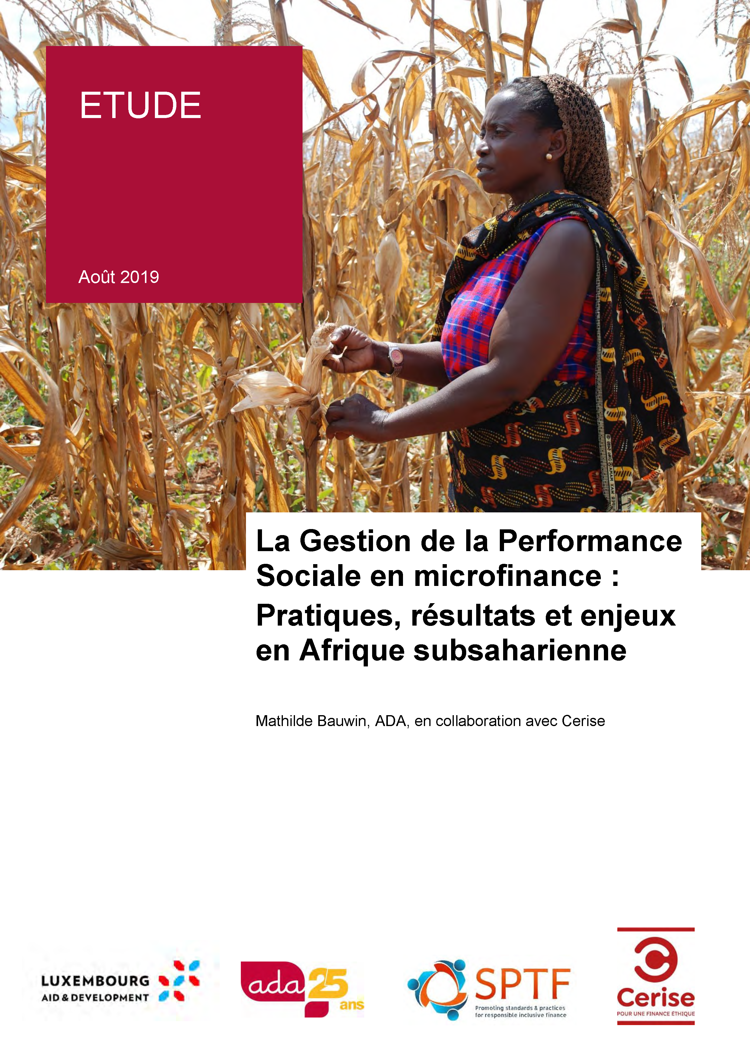 La gestion de la performance sociale en microfinance : pratiques, résultats et enjeux en Afrique subsaharienne