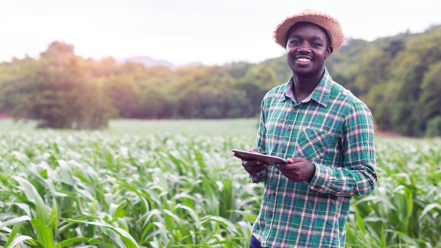 Cover rapport annuel 2019