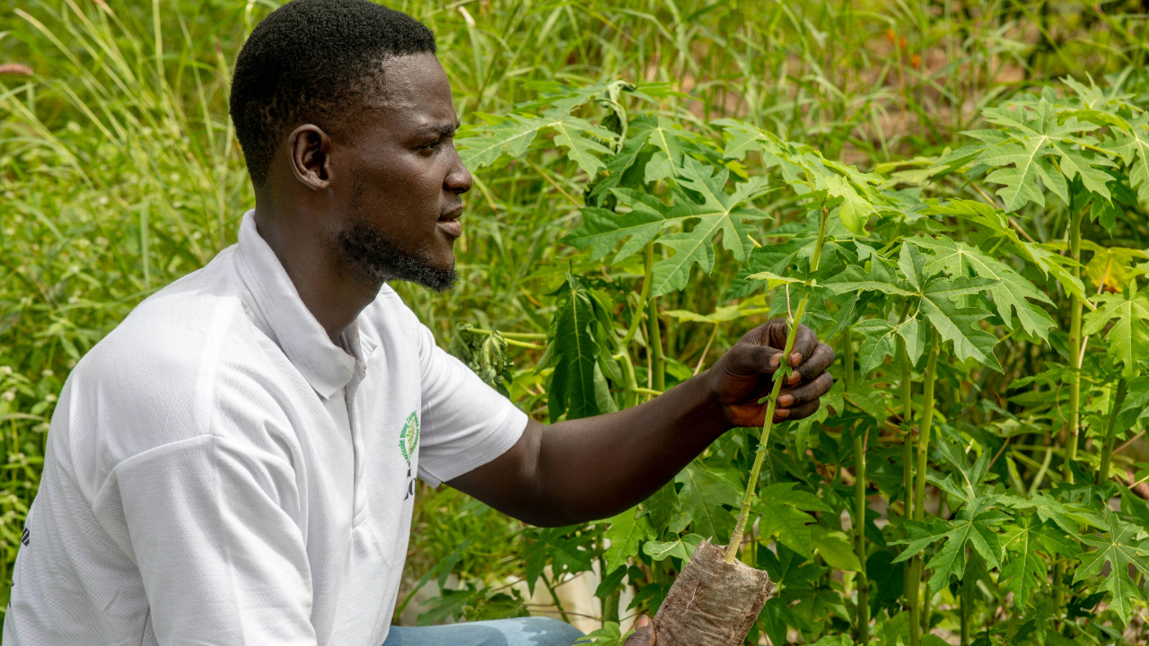 Un jeune homme travaillant dans un champ