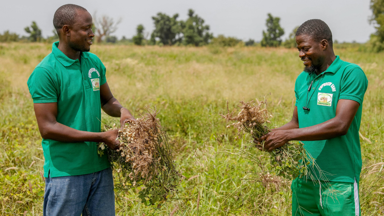 Deux agriculteurs en Afrique