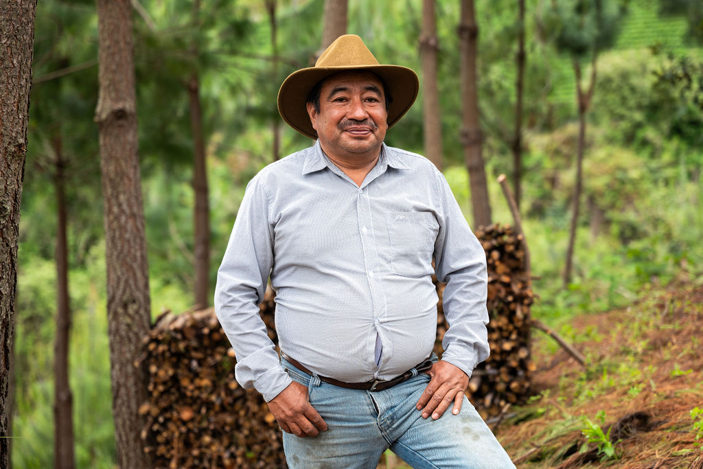 A man in a forest wearing a shirt and a straw hat