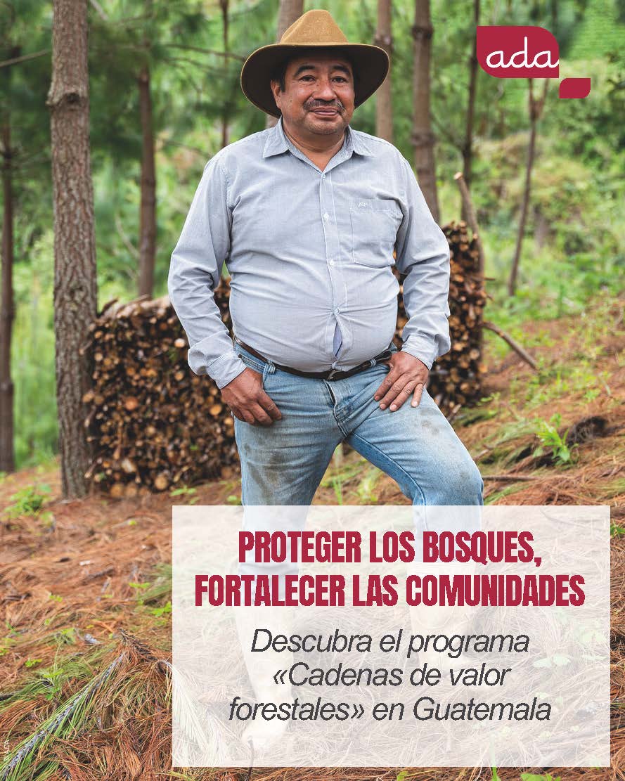 Cobertura forestal Guatemala
