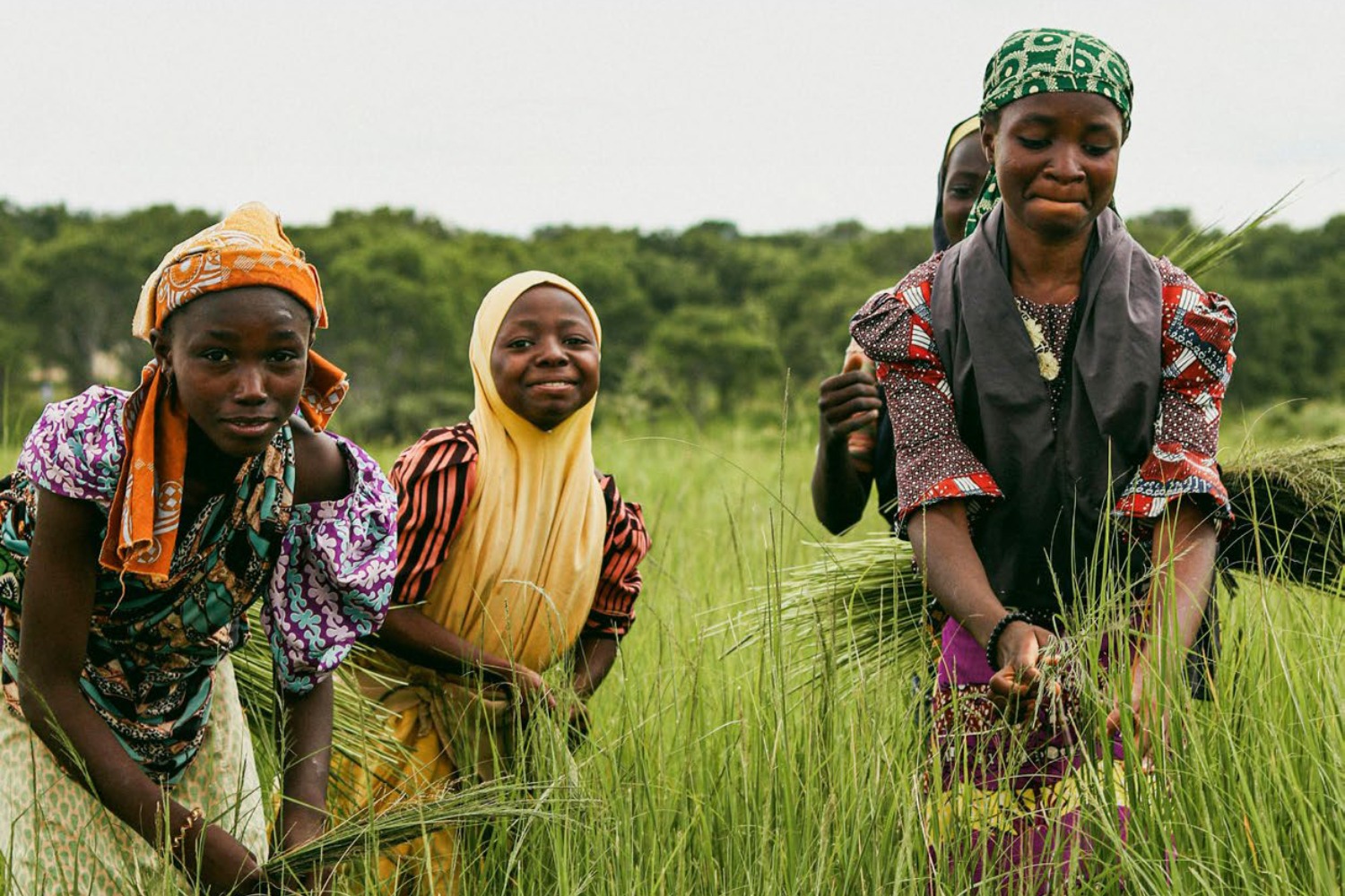 Assurance indicielle indicielle en Afrique de l'Ouest