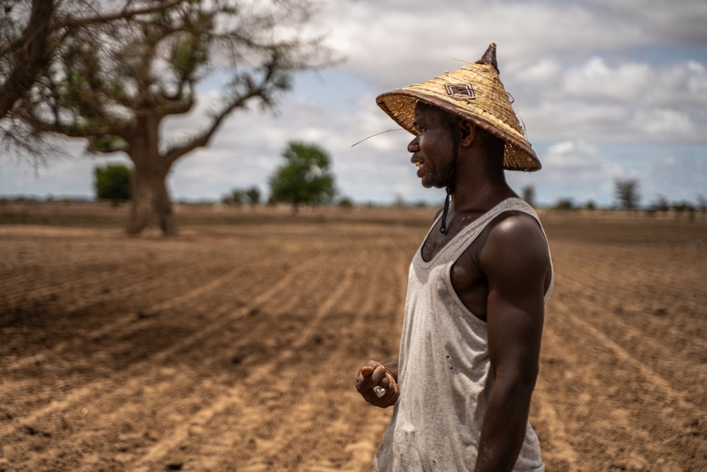 Instantanés agricoles