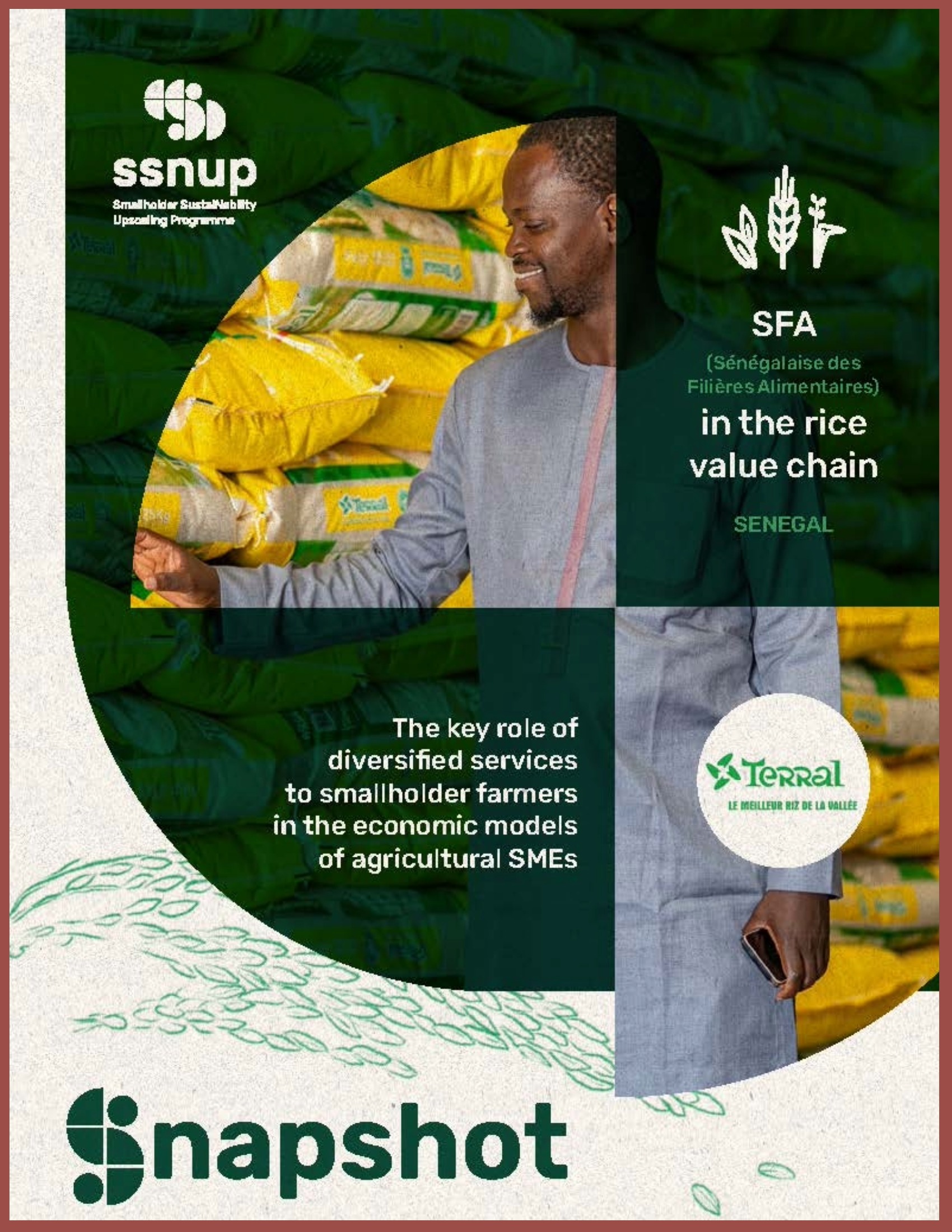 Cover SFA in the rice value chain in Senegal