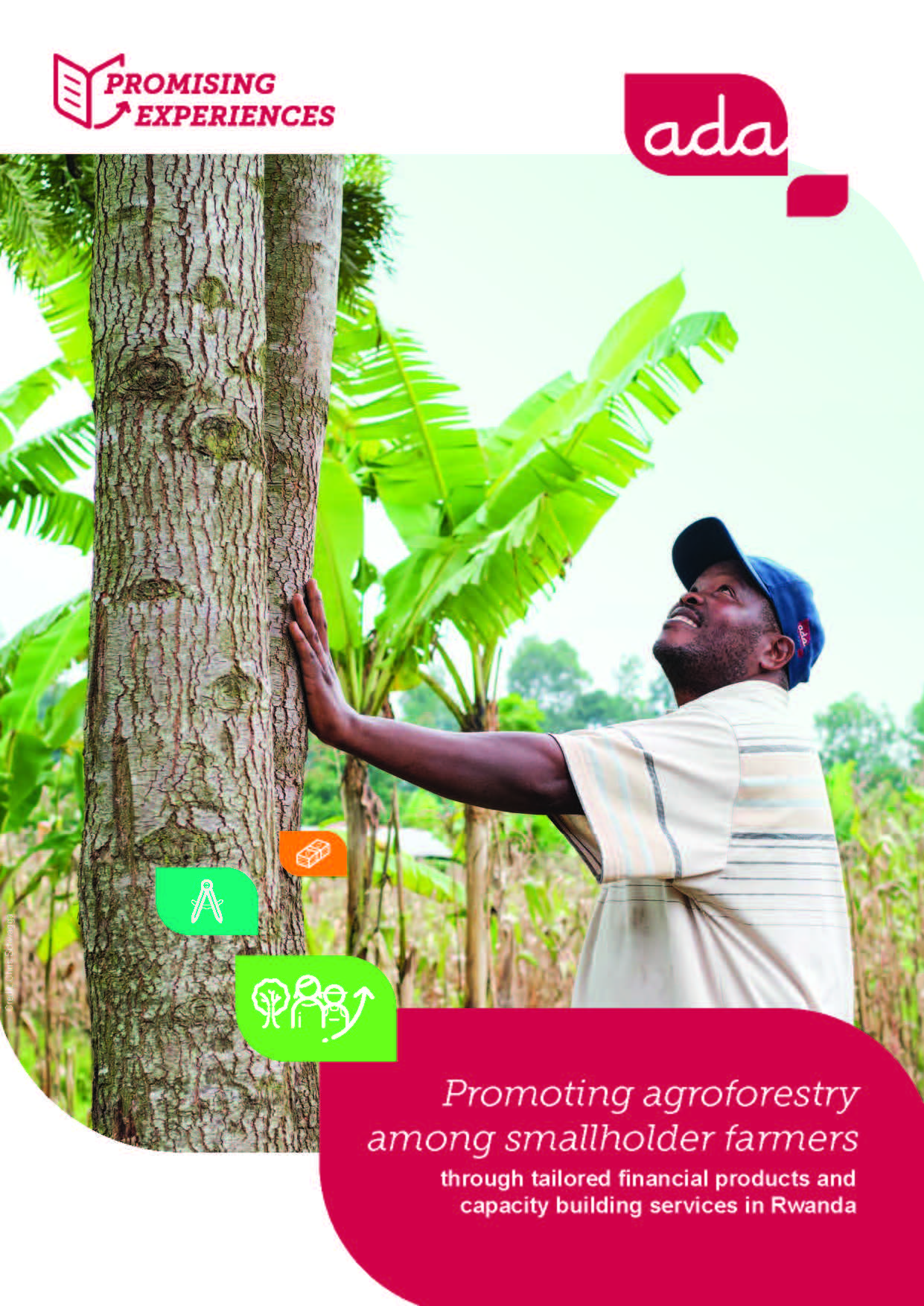 Cover Promising experiences: Promoting agroforestry among smallholder farmers through tailored financial products and capacity-building services in Rwanda