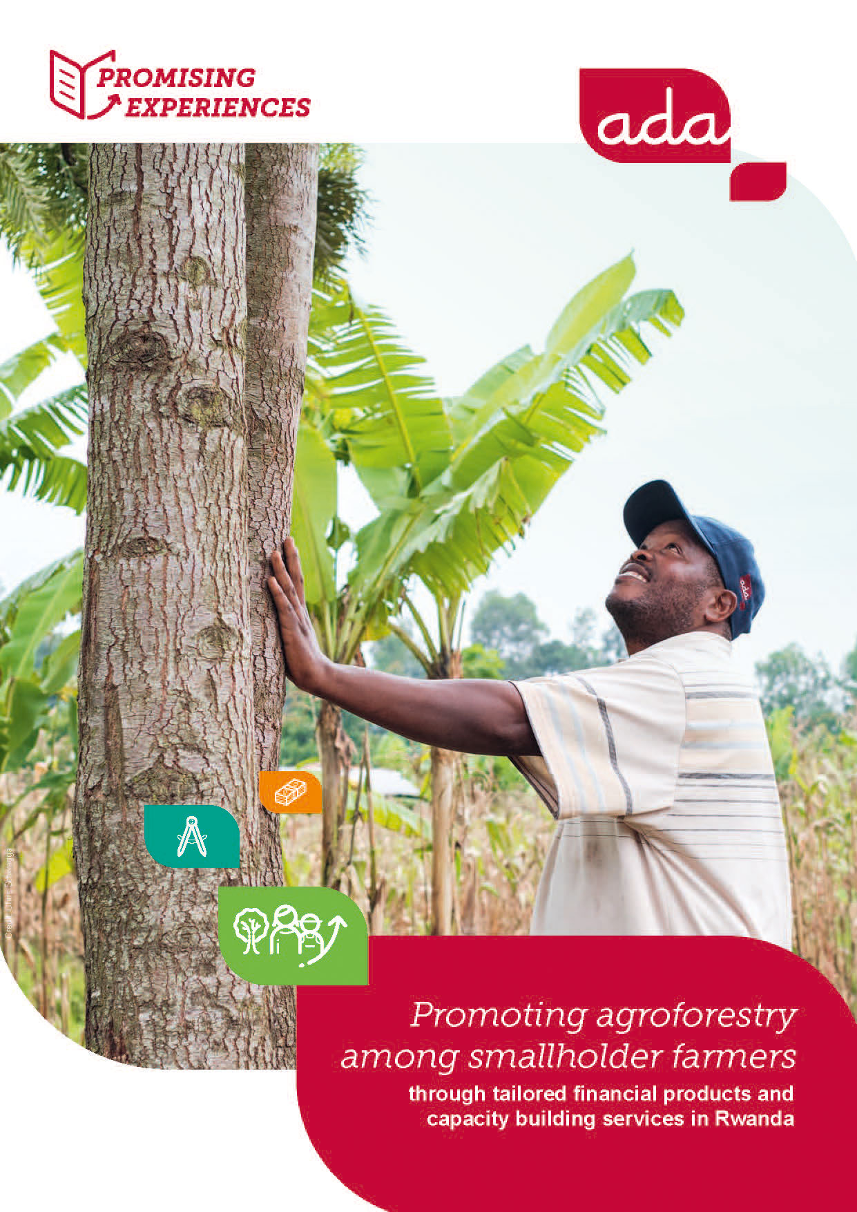 Cover Promising experiences: Promoting agroforestry among smallholder farmers through tailored financial products and capacity-building services in Rwanda