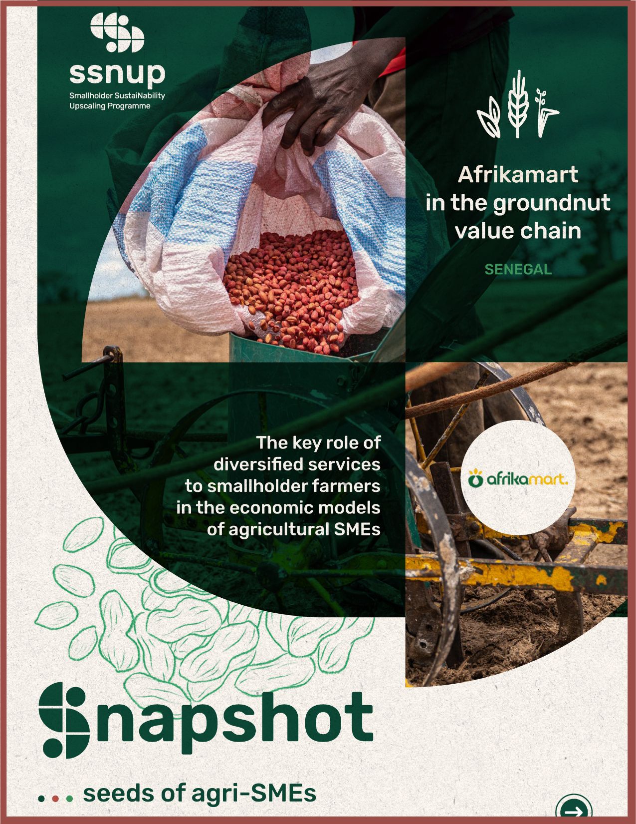 The key role of diversified services to smallholder farmers in the economic models of agricultural SMEs