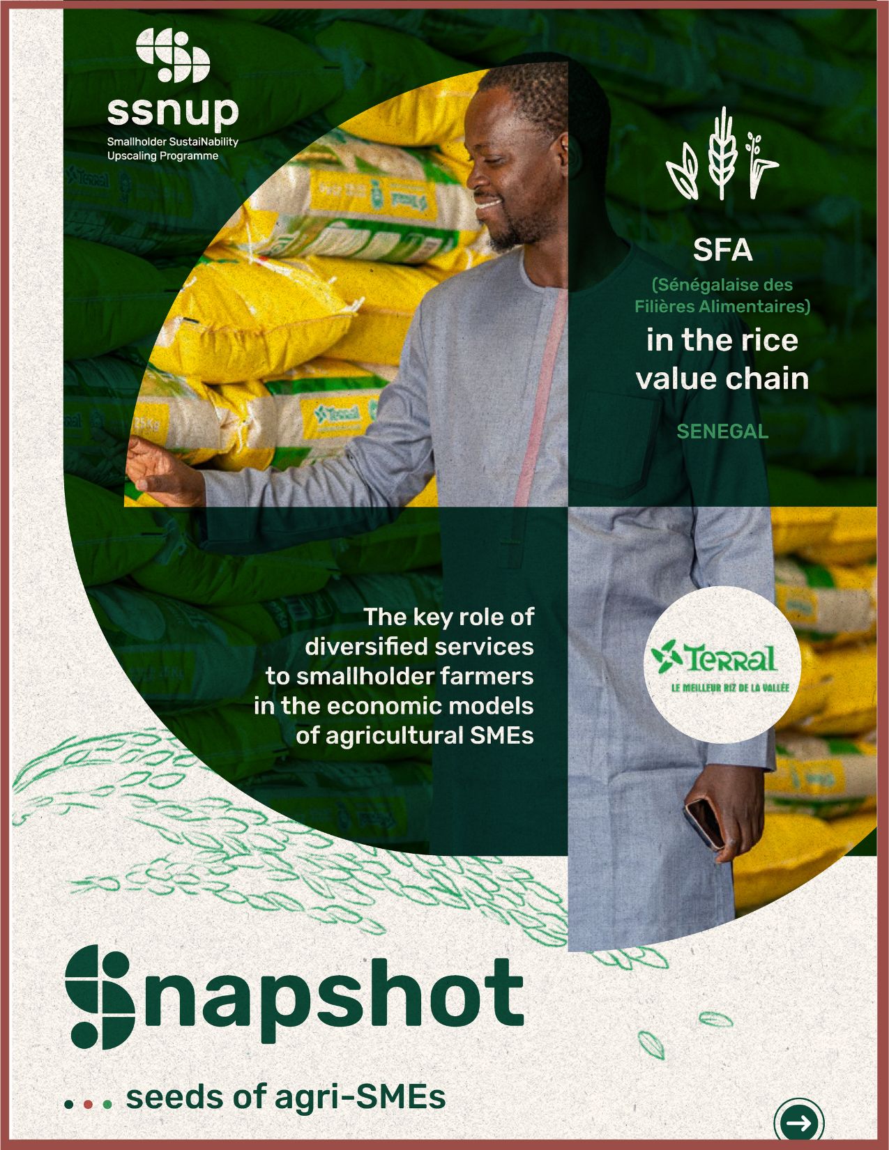 Cover SFA in the rice value chain in Senegal