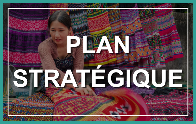 Bouton plan stratégique