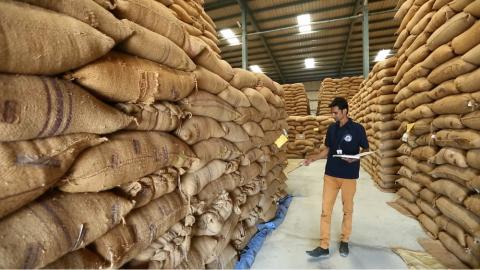 Un homme en train d'inventorier des sacs de grains empilés