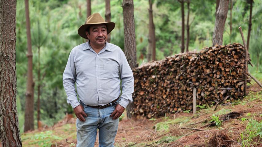 cover rapport annuel ADA 2024