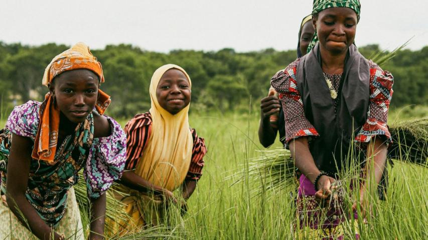 Assurance indicielle indicielle en Afrique de l'Ouest