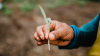 man holding a plant
